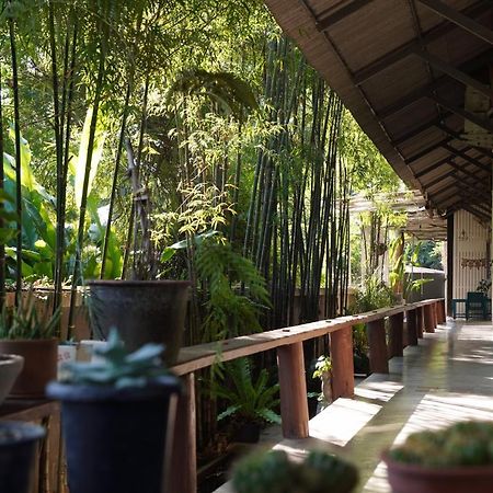 Wanmai House Chiang Mai Exterior foto